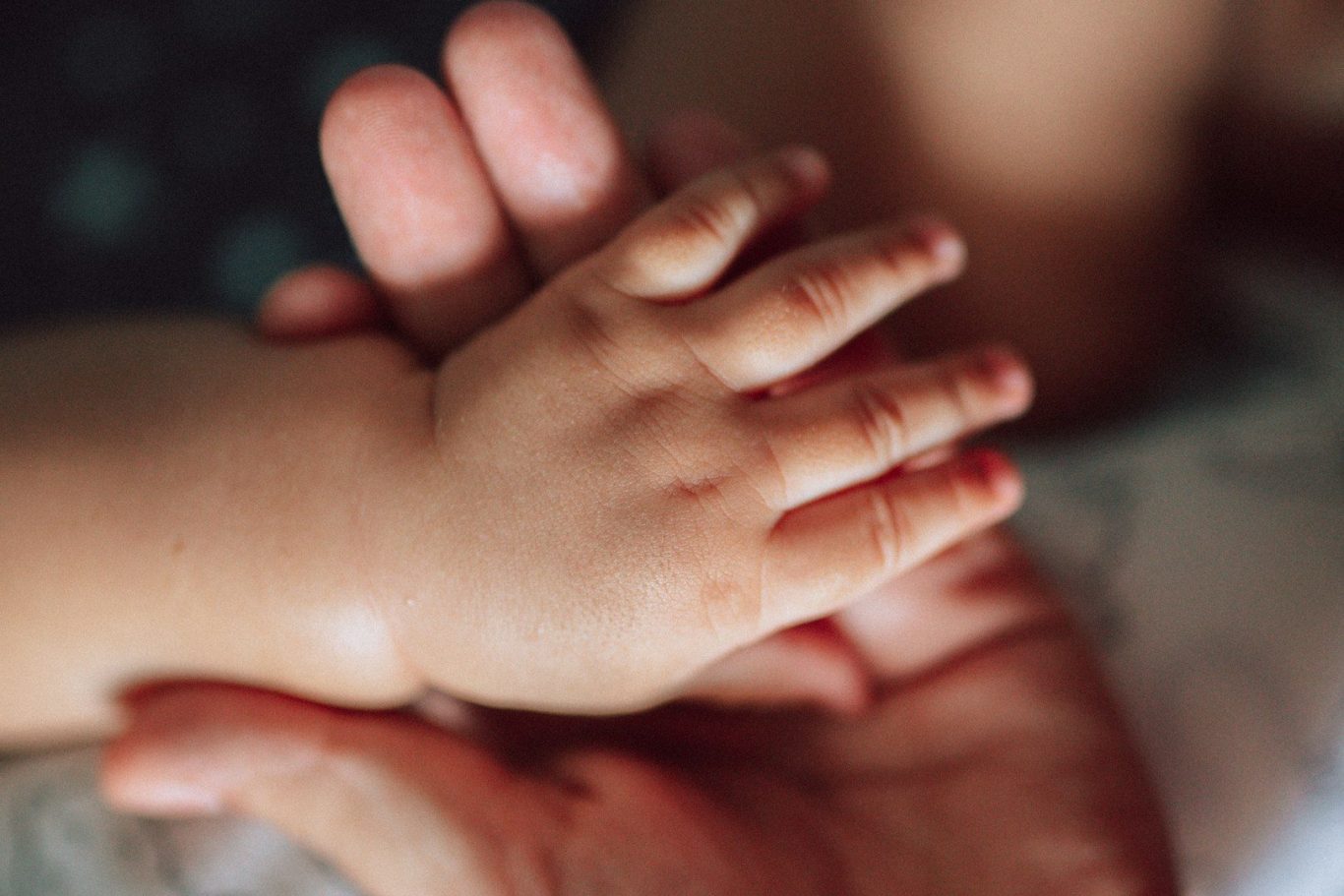 Formulaberatung.jpg Ein erwachsenes und ein kleines Kinderhand halten sich sanft.